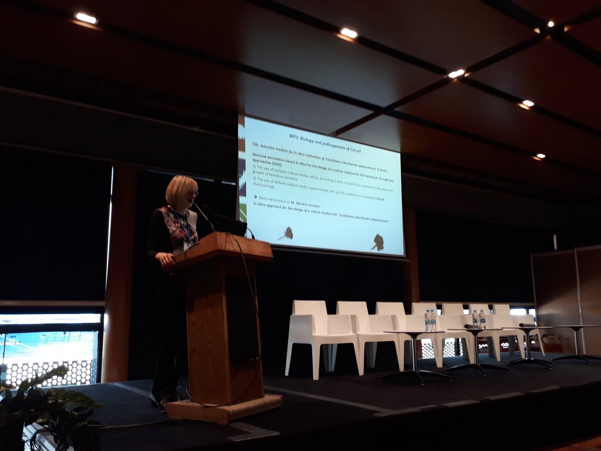 ponteprojecteu's tweet photo. Anne Nissinen @LukeFinlandInt and Françoise Poliakoff @Anses_fr presents major outcomes of @EUhorizon2020 #ponteproject research on #CaLsol and #psyllid vectors. #ajaccio #finalevent https://t.co/4g2YBqO6Er