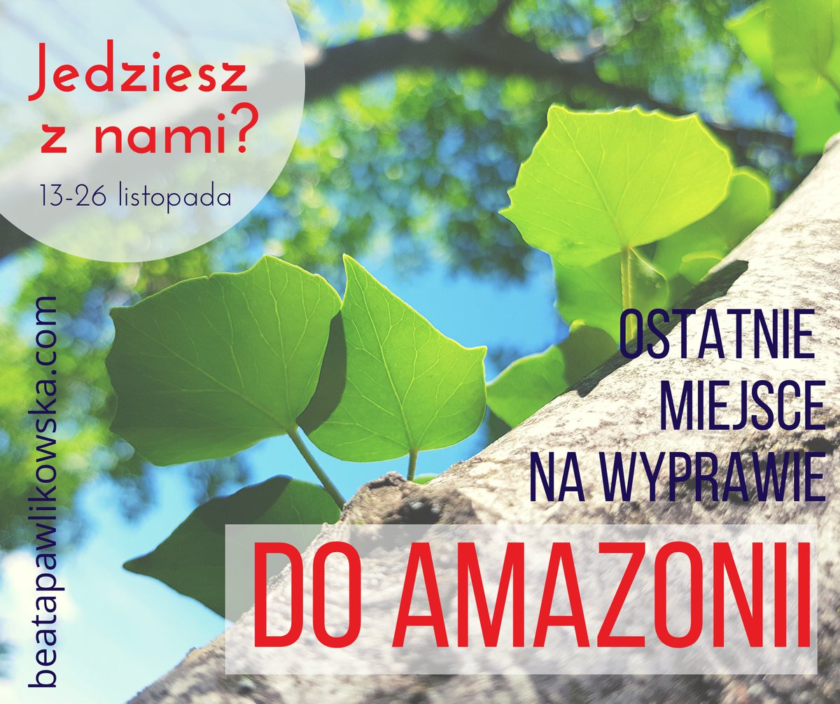Właśnie zwolniło się jedno miejsce na wyprawie do dżungli amazońskiej w terminie 13-26 listopada, jedziesz z nami? 😊 Wszystkie szczegóły i program: beatapawlikowska.com/wyprawa-do-dzu…