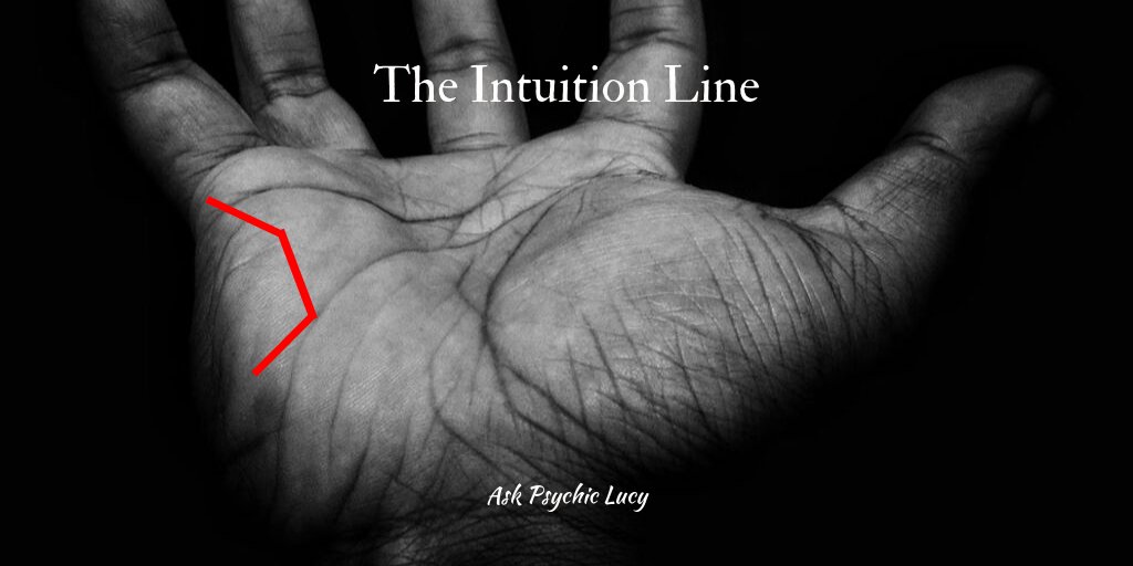 AskPsychicLucy's tweet photo. The #IntuitionLine on the palm signifies individuals who are able to read other people and situations instantly.

To book a #PalmReading, just #AskPsychicLucy. https://t.co/pClbP2GYJC