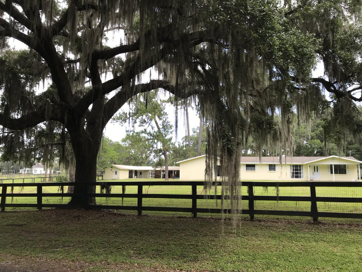 exitbeachrealty's tweet image. In the &quot;Heart of Ocala Historic Horse Country&apos;&apos; in North West. Private farm rests on 5.8 acres.5 buildings and concrete block home and more. Click the link to preview or call our office at 386-441-1141. buff.ly/2BAkvfW #ocala #horseproperty #exitbeachrealty #forsale