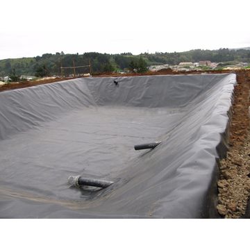 VanleerZimbabwe's tweet photo. Aspiring to make money through #aquaculture, why wait???
Invest in your pond liner(Blacksheeting) today and start making money💲💰💵.
#Hatizvidi zvekuti_mushaye_cash
#Fishfarming
#VanLeerZimbabwe 
#Pondliners
#aquaculture https://t.co/V8QmjSnRAh