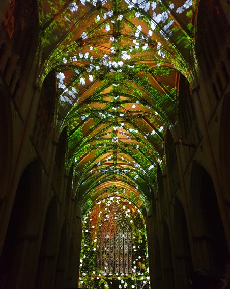 designgirl_soo's tweet image. Had an amazing evening viewing the Northern Lights sound and light installation at York Minster yesterday. An awe-inspiring piece of work designed by @Projstudio and @KarenMonid #yorkminster #northernlights #audiovisualdesign #soundandlightinstallation #medieval #heritage