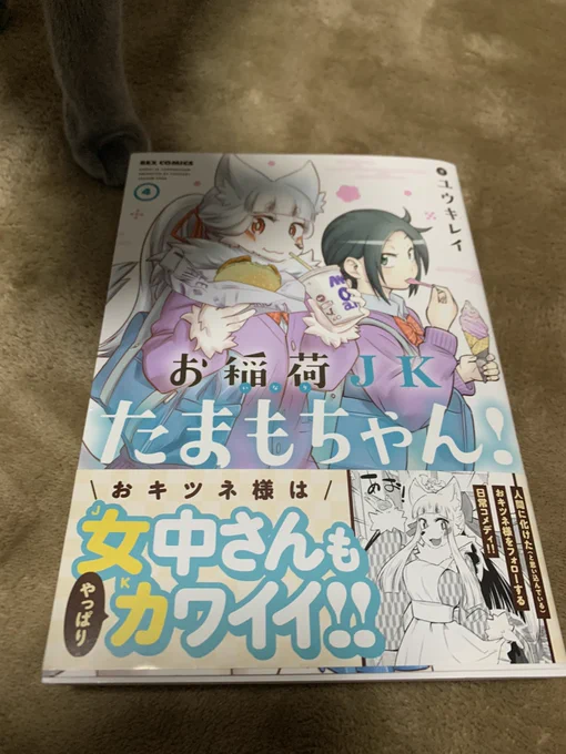 先日発売したユウキレイさんの『お稲荷JKたまもちゃん!』4巻に吉田輝和が準レギュラーくらいに扱いの教師役でいっぱい登場しているぞ! 