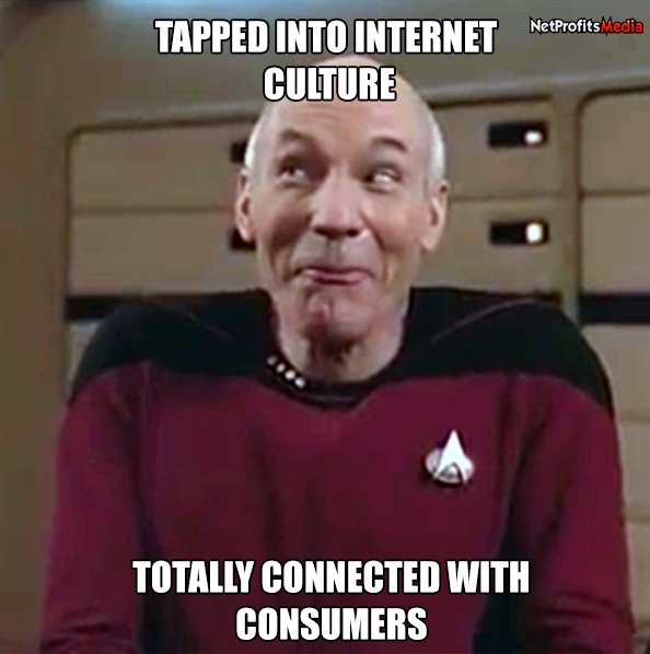 NetProfits Media tweet media