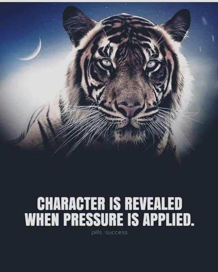 AdmutheAvinash's tweet image. #selfrespect #charactergoals