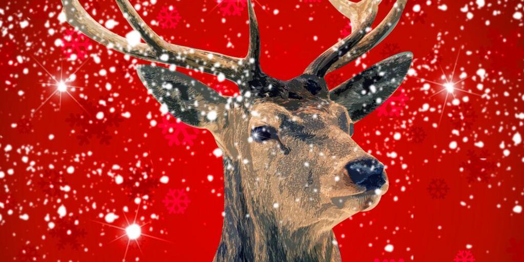 #WarwickHour Book now for our Christmas Fayre Lunch! Available throughout December. 3 courses £15.95. Find out more: stoneleighdeerparkgolfclub.com/christmas-2019…