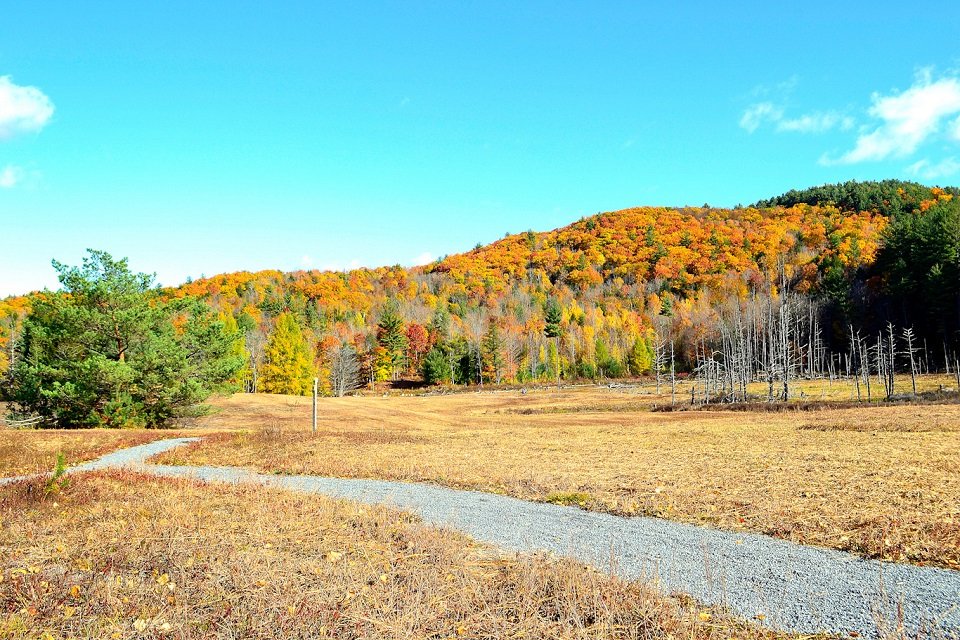 LakeGeorgeArea's tweet photo. It's not too late to find some foliage in the Lake George Area! Check out these five hikes if you want to see some color. https://t.co/3fZ19obwmT https://t.co/eggLDVpKw1