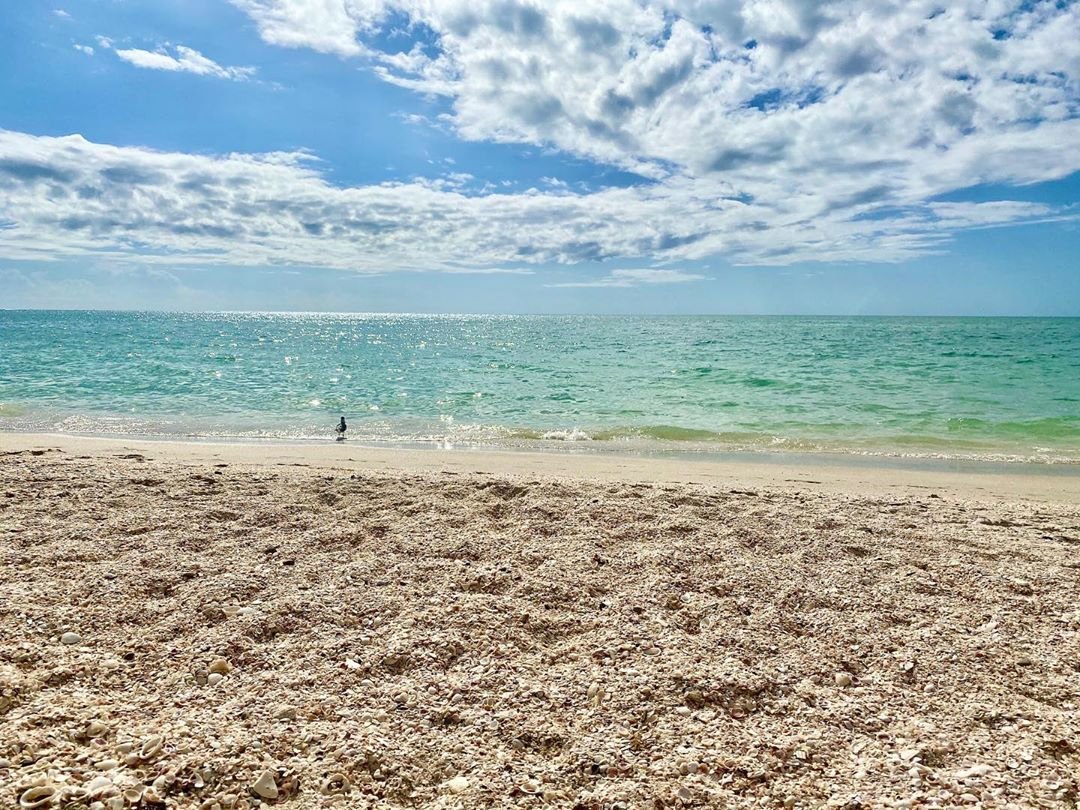 'Sky, sea and sand. The perfect color palette on Casey Key. #sarasotacounty #nokomisbeach '
(📸 & 📝: IG @wcdameron)
#MySarasota #CaseyKey 🎨🏖️🌊🤙❤️