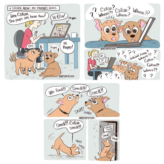 A story about two pups that belong to a friend of mine. they heard his voice, got confused, started looking around the house, found the strongest source of his smell (the bed) and concluded that he must be trapped within. They were found destroying the bed to try and dig him out. 