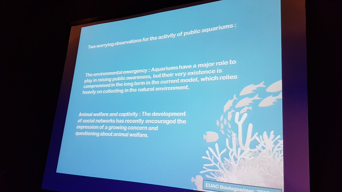 AnneRognant's tweet photo. Comment les aquariums apportent leur contribution à la sauvegarde de l'océan ?/Conférence @PlaneteNAUSICAA #EUACconference @Oceanopolis_ @D_Barthelemy_ intervient pour les aquariums #UCA "Maîtriser les cycles de vie de nombreuses espèces" https://t.co/JOBCKkmsSD