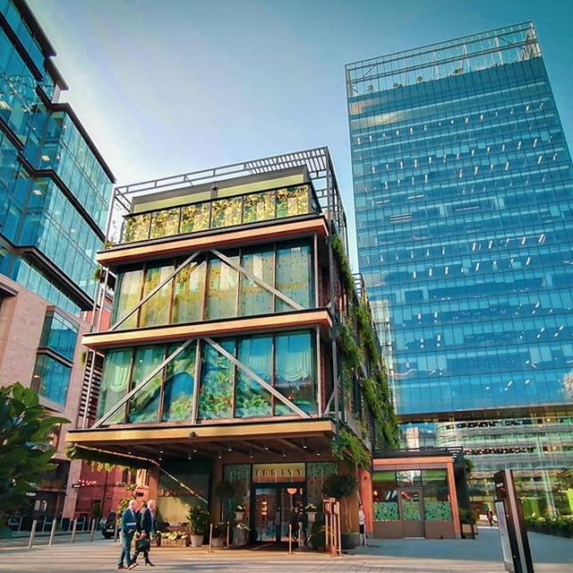 McrPulse's tweet photo. . theivymanchester 👀 Picture from m110996_ .
.
.
#mcrstreets #manchesterphotos
#manchesterconfidentional #mcruk
#manchestertoday #igersmcr #visitbritain
#igersmcrtakeover #igersmcrontour
#lovinmanchester #lovemcr #ilovemcr
#manchester #visitmcr #visitmanchester
#visitengland #s https://t.co/Thv17lW2ia