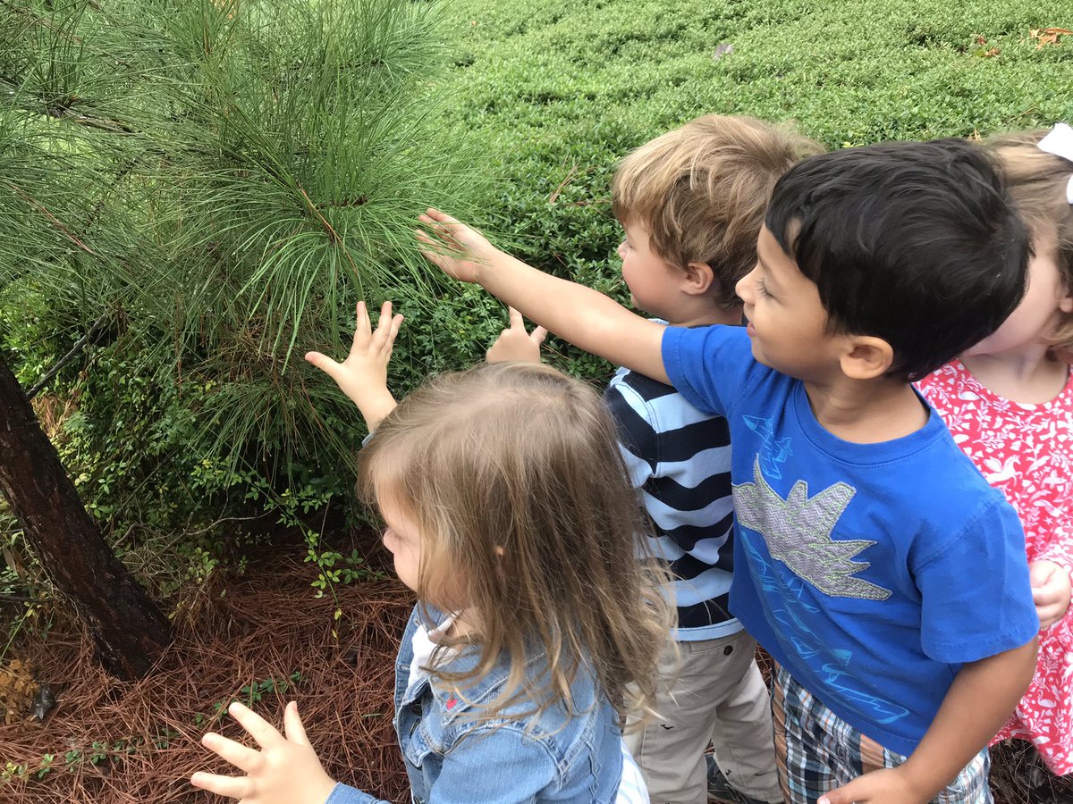 MakeSomeArt's tweet image. Early Learners using their sense of touch to explore many textures. Pointy, rough, smooth, soft. What do you feel? @ELButterflies #TrinityLearns