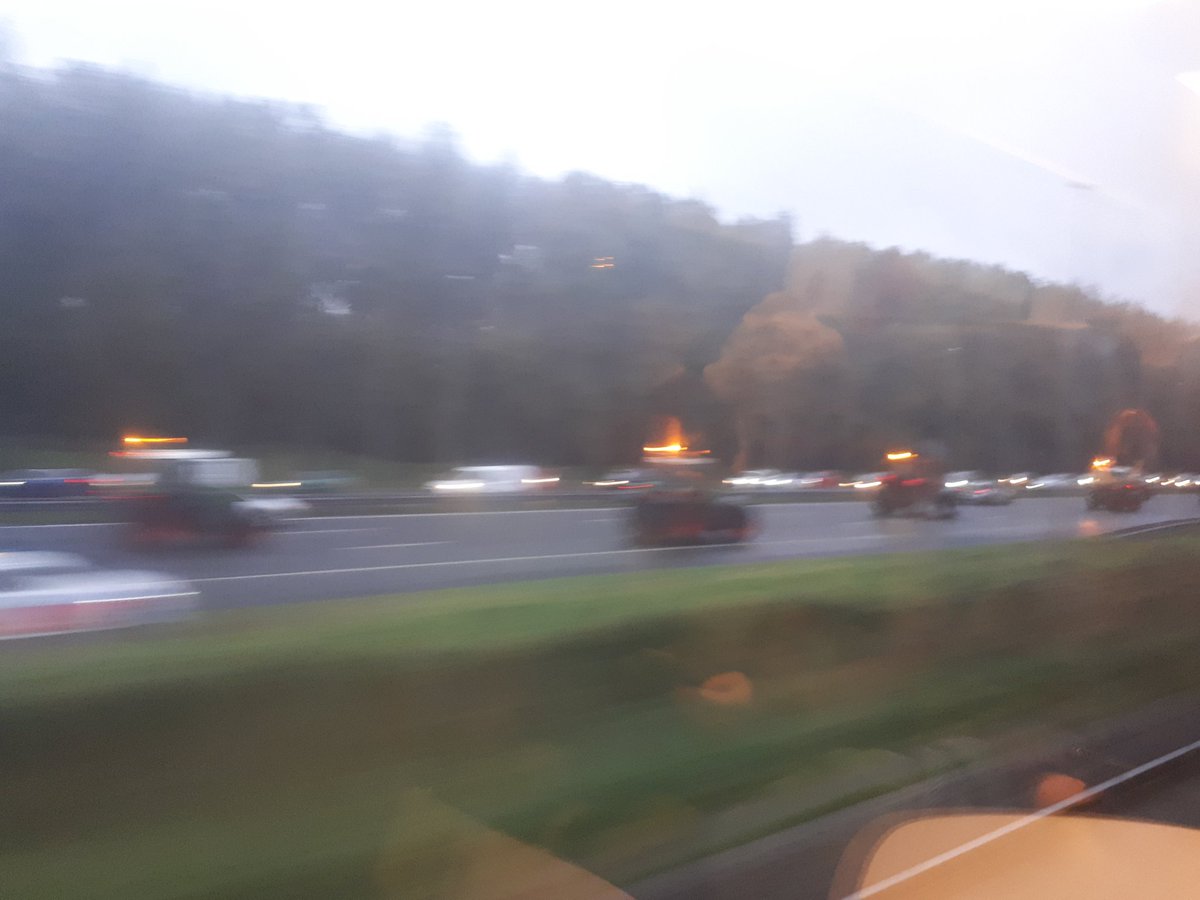 TeamFoodEde tweet media