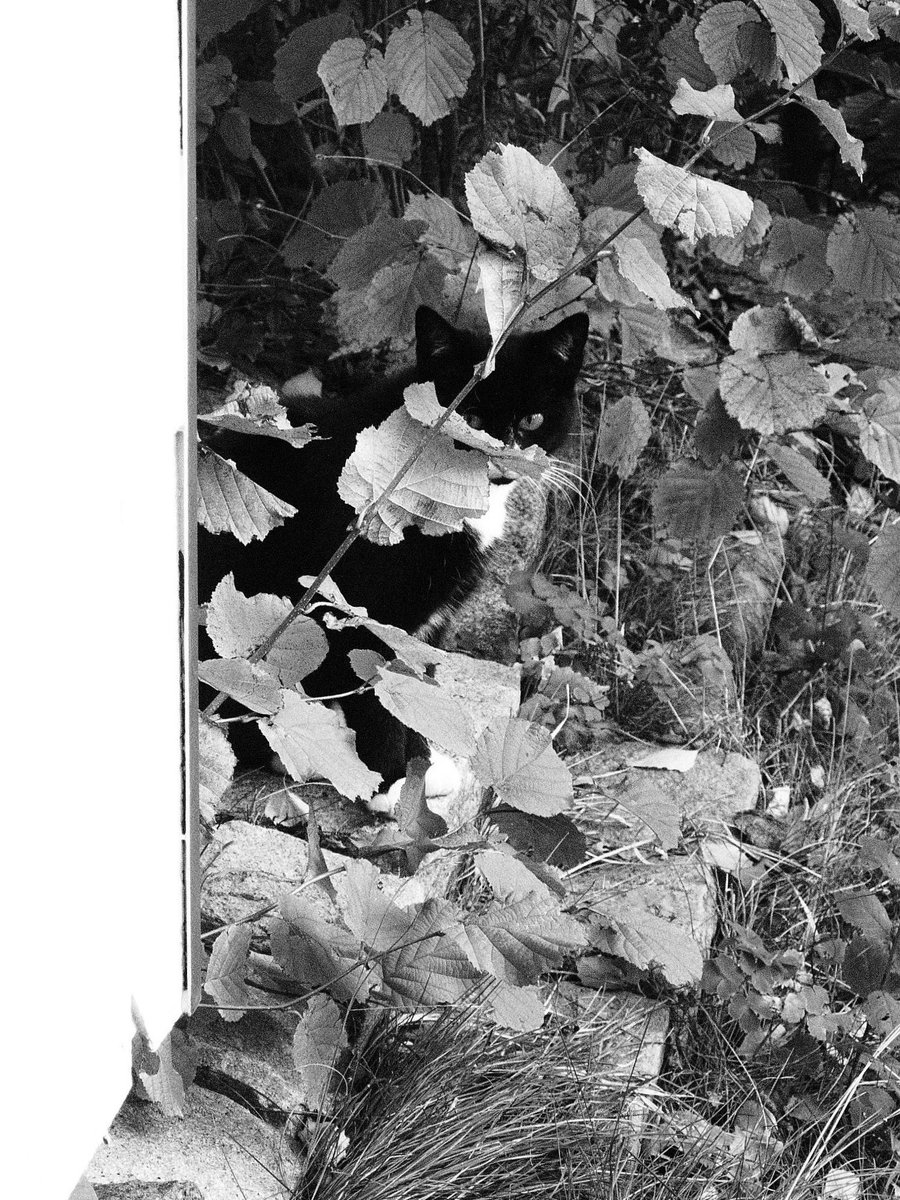 Paula & Donny (@paulaunddonny) on Twitter photo 