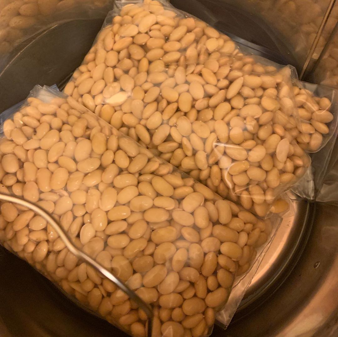 HungryChristel's tweet photo. This weekend we began our first #Tempeh - about three days later, it should be ready for it's reveal soon! @colinkoop 

#TheAnticipation #FermentationIsFun #VeganProtein https://t.co/N7HlyBN87n