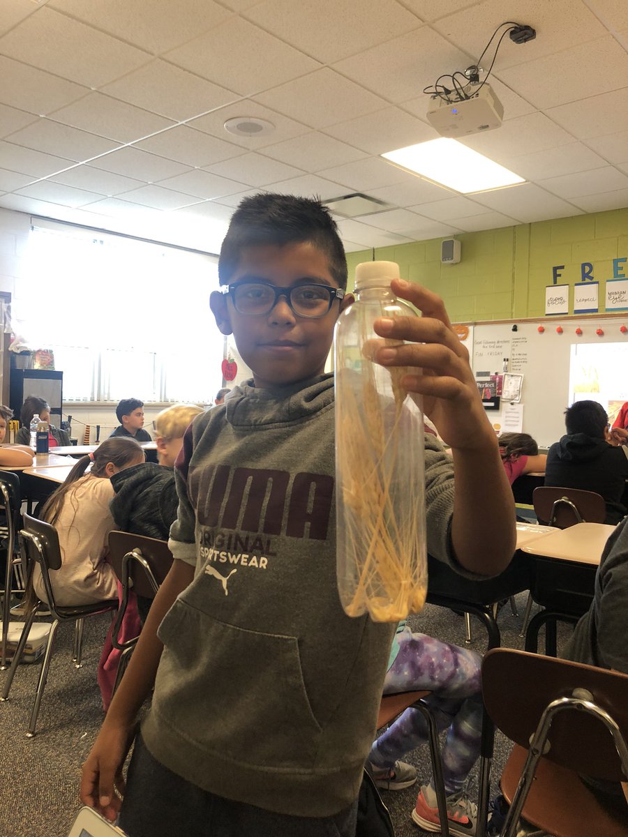 MrsKuipersin4th's tweet photo. Had so much fun learning about the agriculture in Illinois! #Agintheclass @Liberty_D135 #osd135 https://t.co/rOTtatH9kz