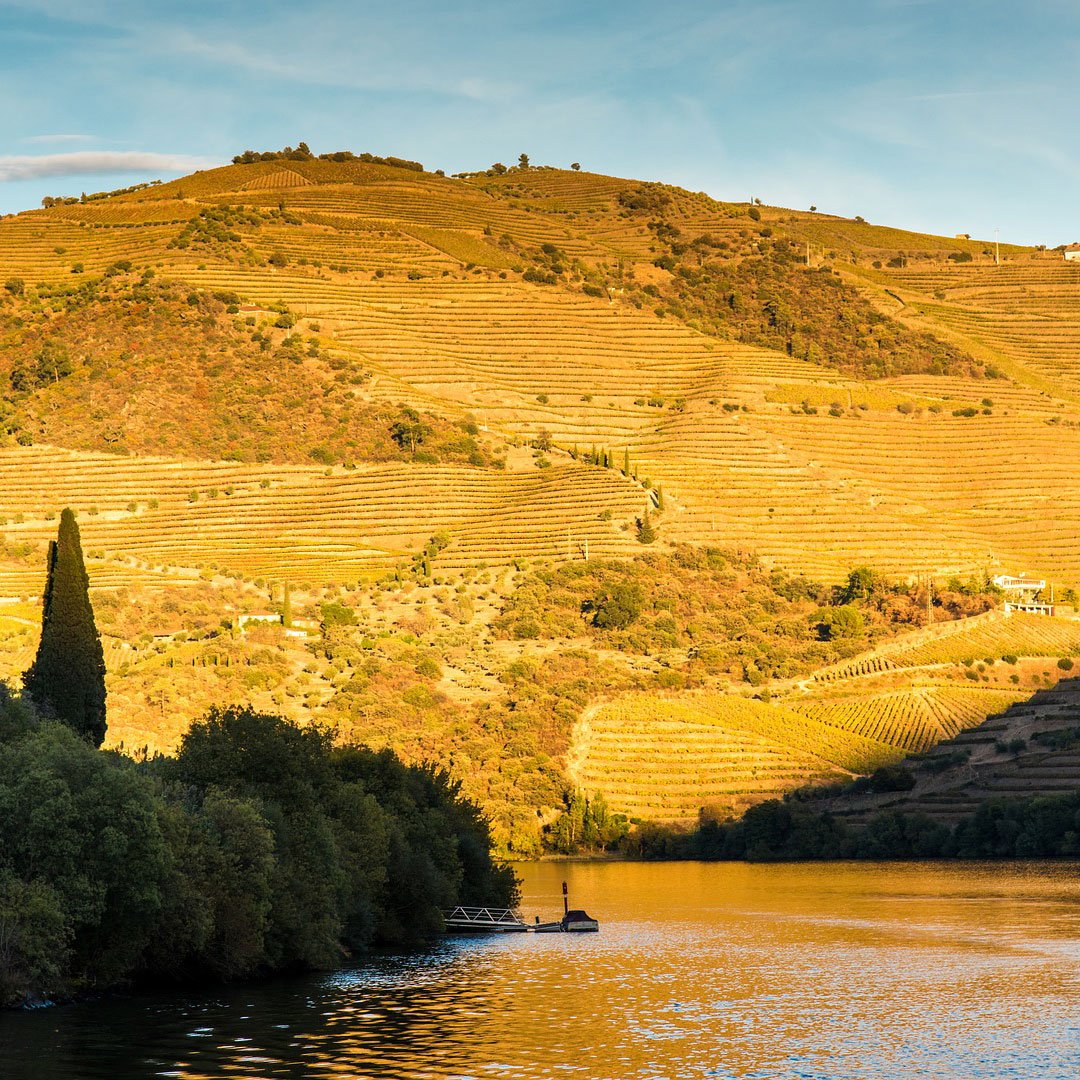 Due to the popularity of our new Portugal End to End cycle tour, we've added additional dates for 2020. Spaces are now available for 4th-12th May 2020. Cycle from Chaves to Faro - 450 miles - 7 days cycling. Book online at pedalnation.co.uk/tour-item/port…