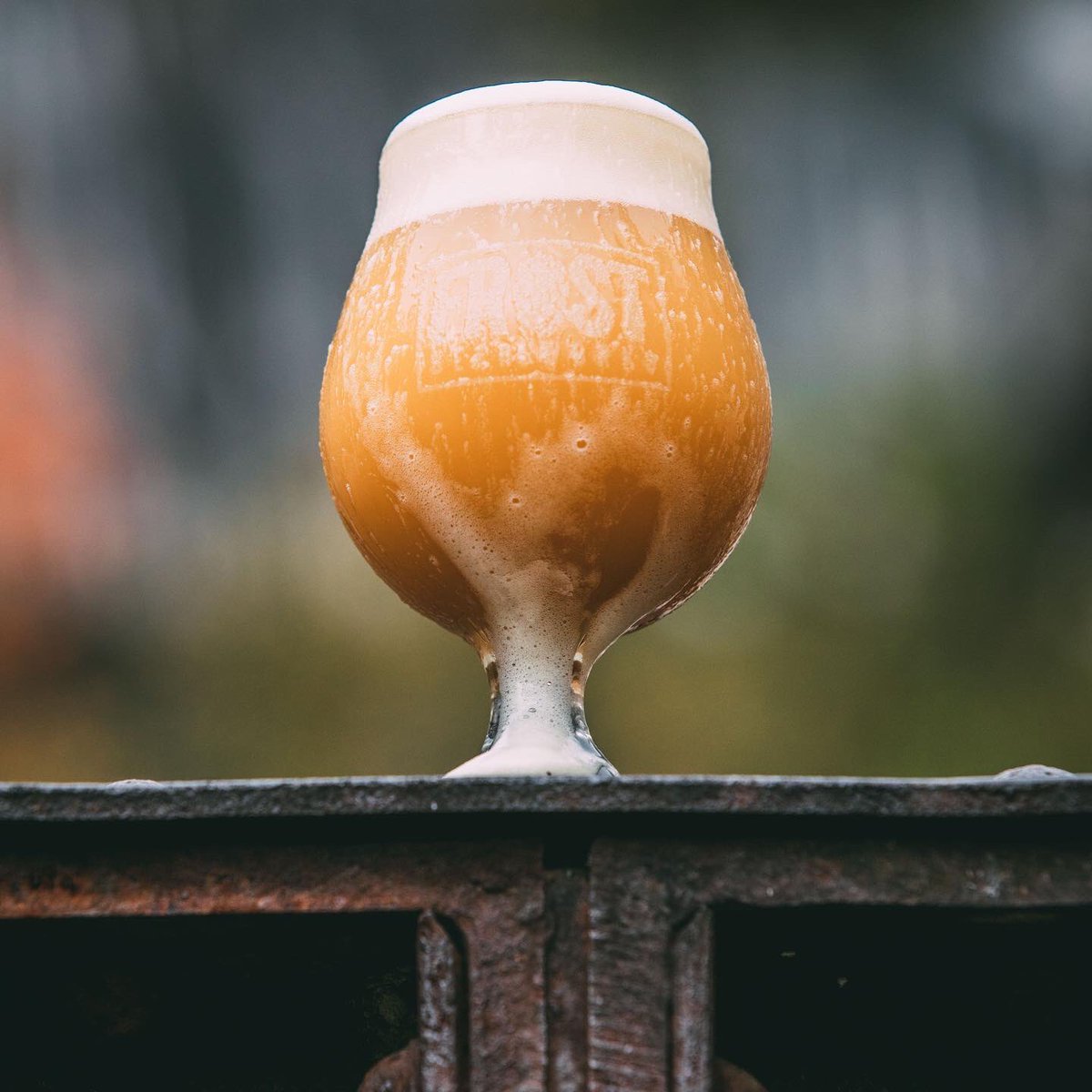 FrostBeerWorks's tweet photo. Did you know that your next Starchild contains fresh 2019 crop year South African hops? In the Southern Hemisphere, the hop harvest occurs in our springtime, resulting in dank pellets available earlier than varieties grown in the north. #beerforthought #southernpassion #melikey https://t.co/p5CAY984z7