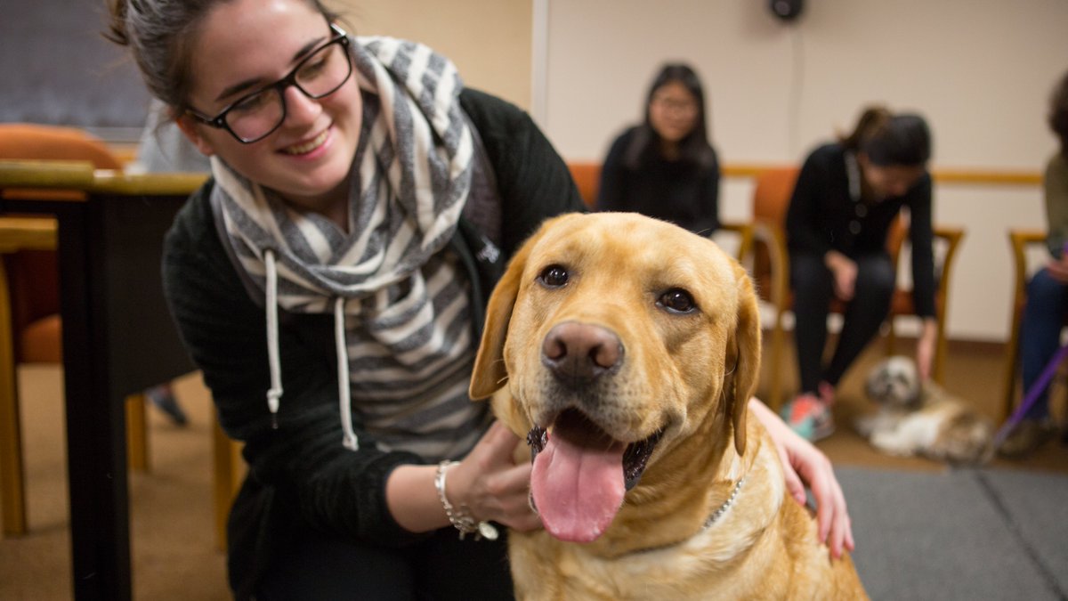 UBuffalo's tweet photo. #Selfcare is key 🔑 Learning good self-care habits can help you manage your #stress, and even turn it into a positive force. Find out how from a #UBuffalo counselor! https://t.co/jyXZEfrlGJ https://t.co/l2Lr2mHwOu