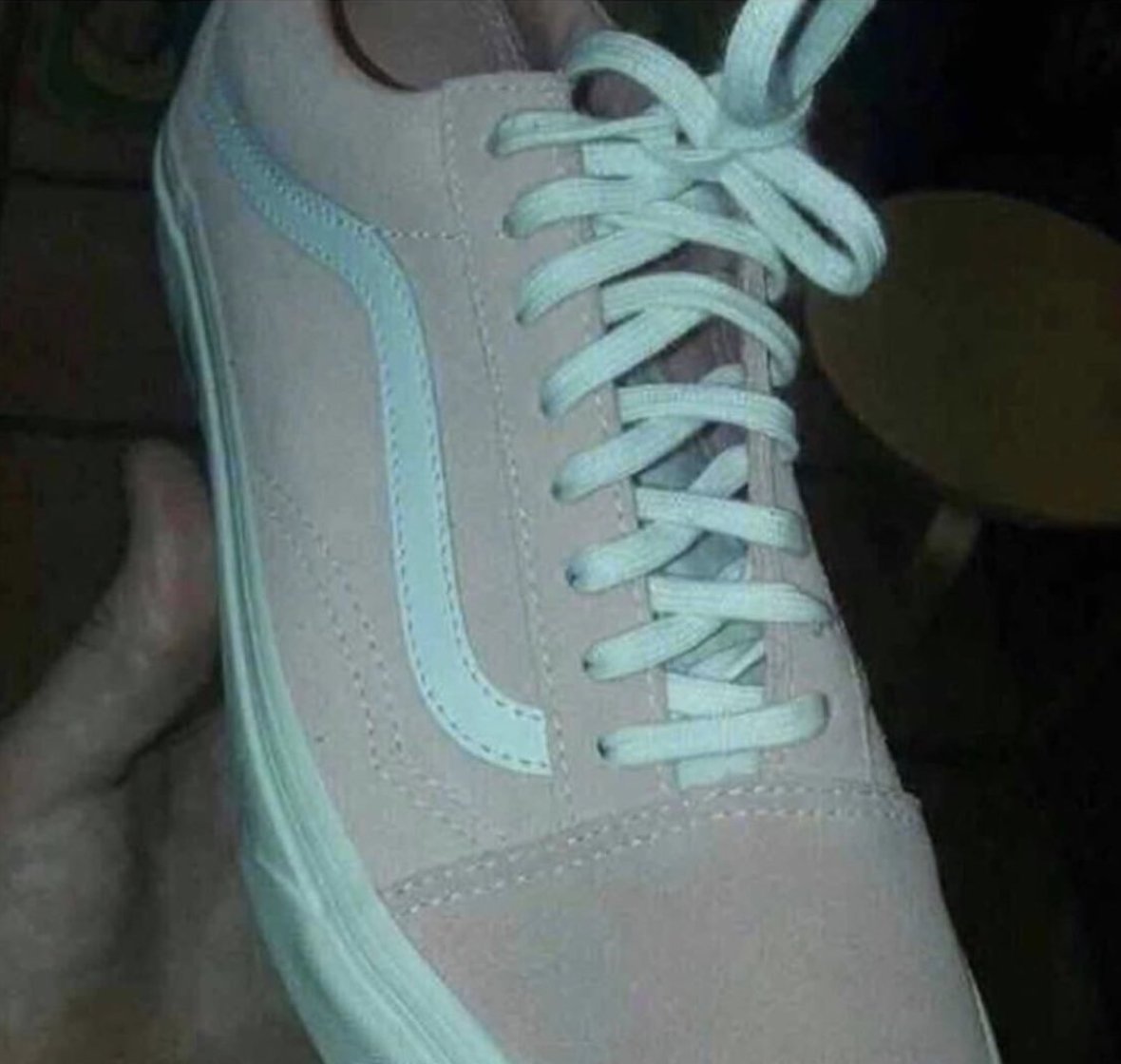 vans 16 vans 16