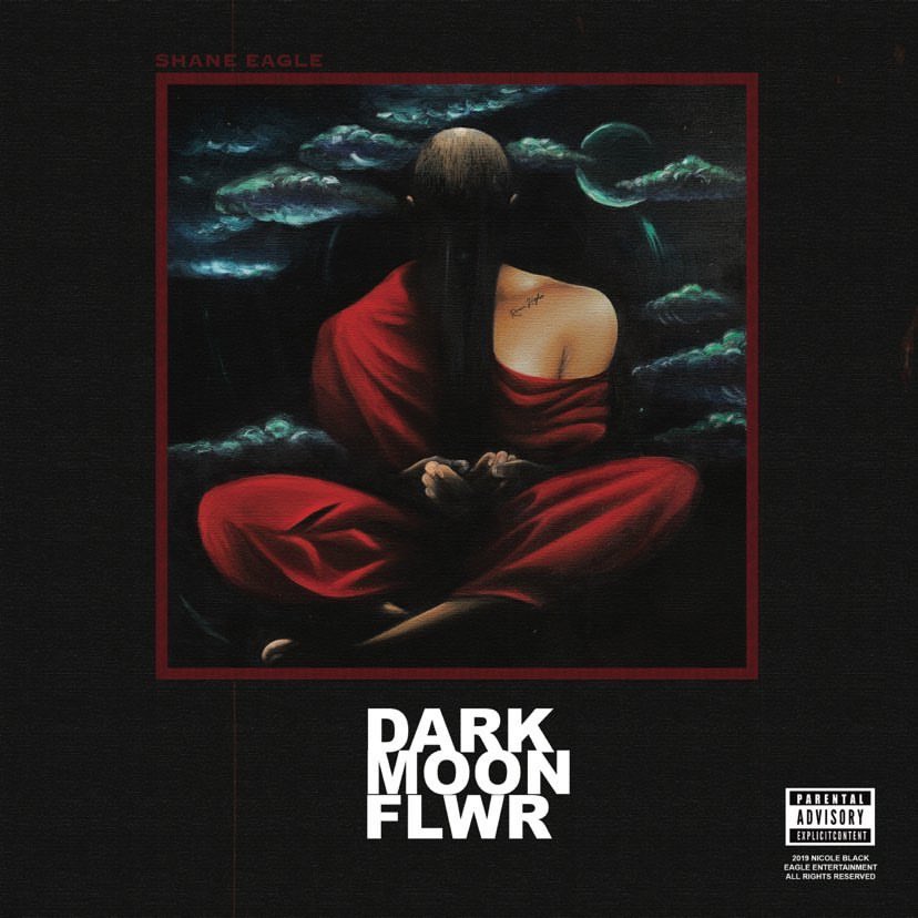 cruelsantino's tweet photo. dark moon flower 
new @Shane_Eagle project 
vanya feat santi &amp; bas 
https://t.co/xhjOAODC2V https://t.co/SPkmVvyMYY