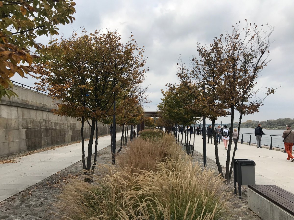 Richard Coutts tweet media