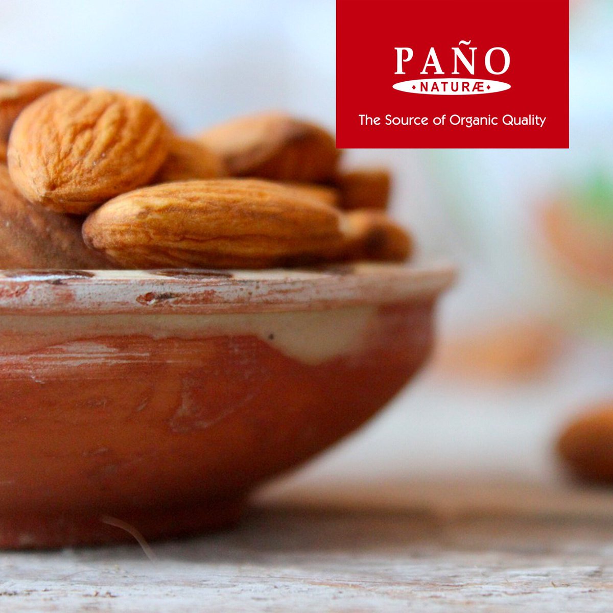 Las almendras: Son ricas en fibras, proteínas, vitaminas B y E, grasas saludables, hierro, calcio, fósforo… Merendar almendras o tomarlas a media mañana puede ayudar a mantener unos niveles saludables de colesterol.💃🏼
#Pano #PanoFruits #Almendras #AlmendrasEcológicas #healtyfood