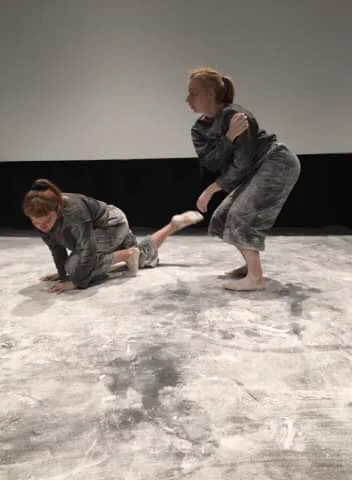 Image from Beth Veitch (@BethCVeitch)