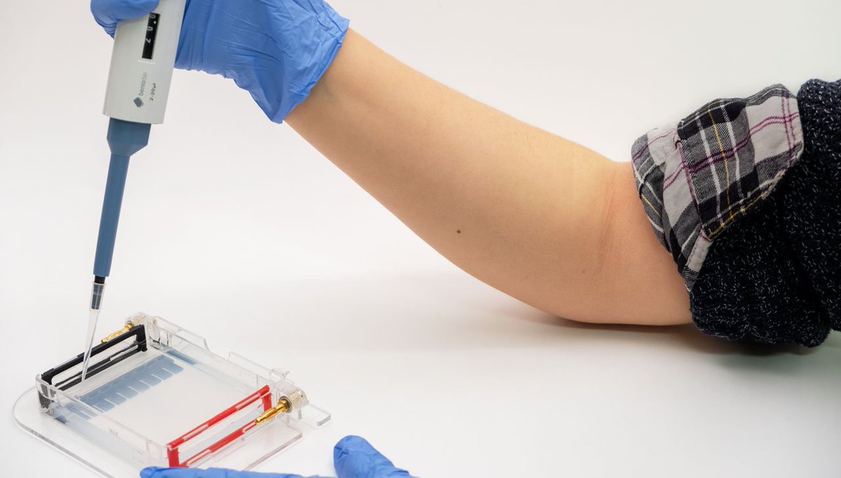 Bento Lab 🧬 tweet media