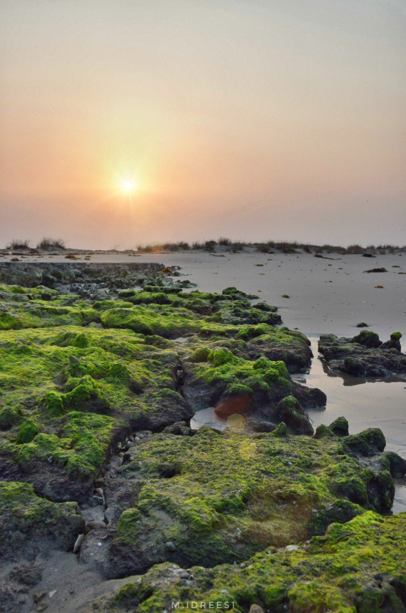 شاطئ الطُرفة التابع لمركز قوز الجعافرة بمنطقة #جازان 🌊

.
.
عدسة : محمد إدريس