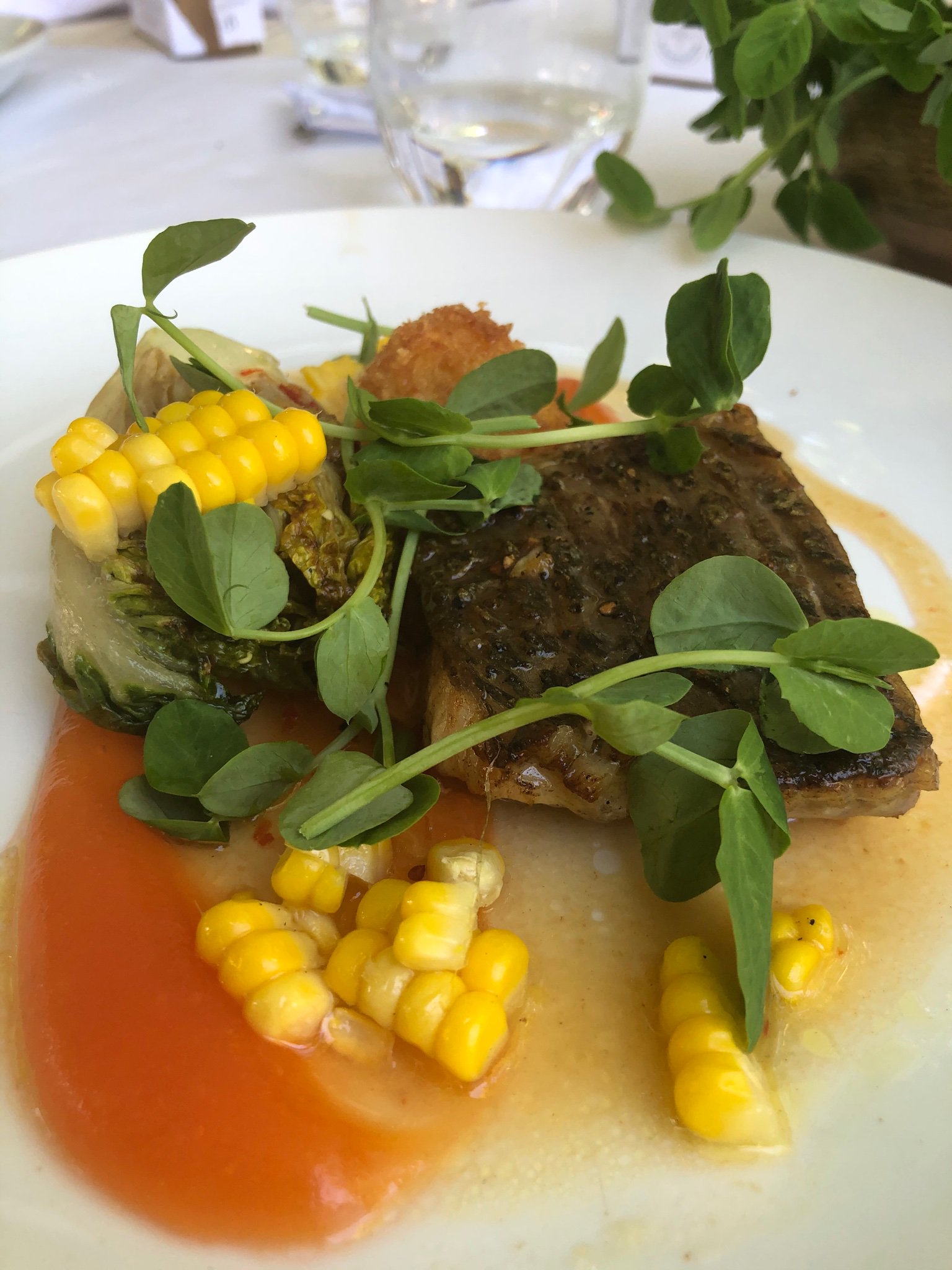 GC Communications on Twitter "Sea bass, papaya, sweet corn, grilled