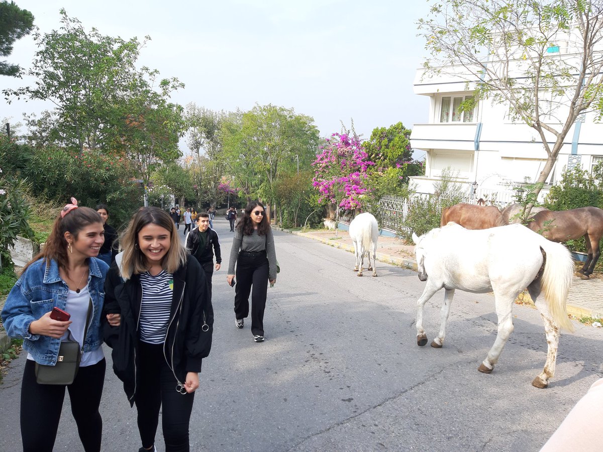 UlasSunata's tweet photo. Yıllardır #SOC2001 kapsamında gezi yaparız. 2019 güz döneminde en uzun, en sporlu ve en maceralısını yaşadık. Teşekkürler #Adalar #BAUSosyoloji https://t.co/UAKIngPVLV