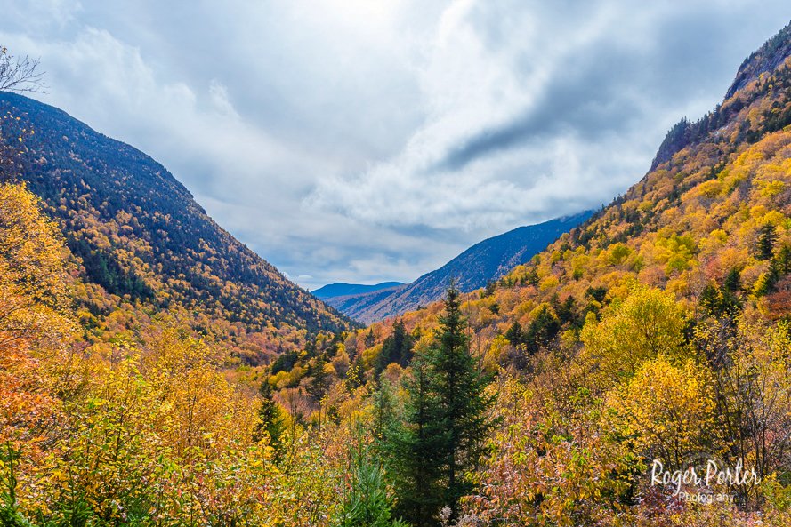 Roger Porter Photography tweet media