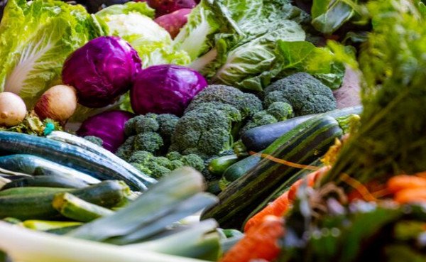 scotruralnet's tweet photo. The Food Processing, Marketing and Cooperation scheme is open for applications and will close on 10 November. Find out more here: https://t.co/EN9FZfsLoV https://t.co/JU0mbXzySv