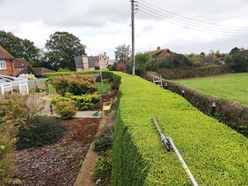 teigntrees's tweet image. Now that nesting season is over it's hedge time.......
If you would like to get your hedge booked in please give us a call on 01626 773499 or take a look at our website for more information teigntrees.co.uk/hedge-services #teigntrees #hedgeservices #hedgetrim #whatwedowednesday