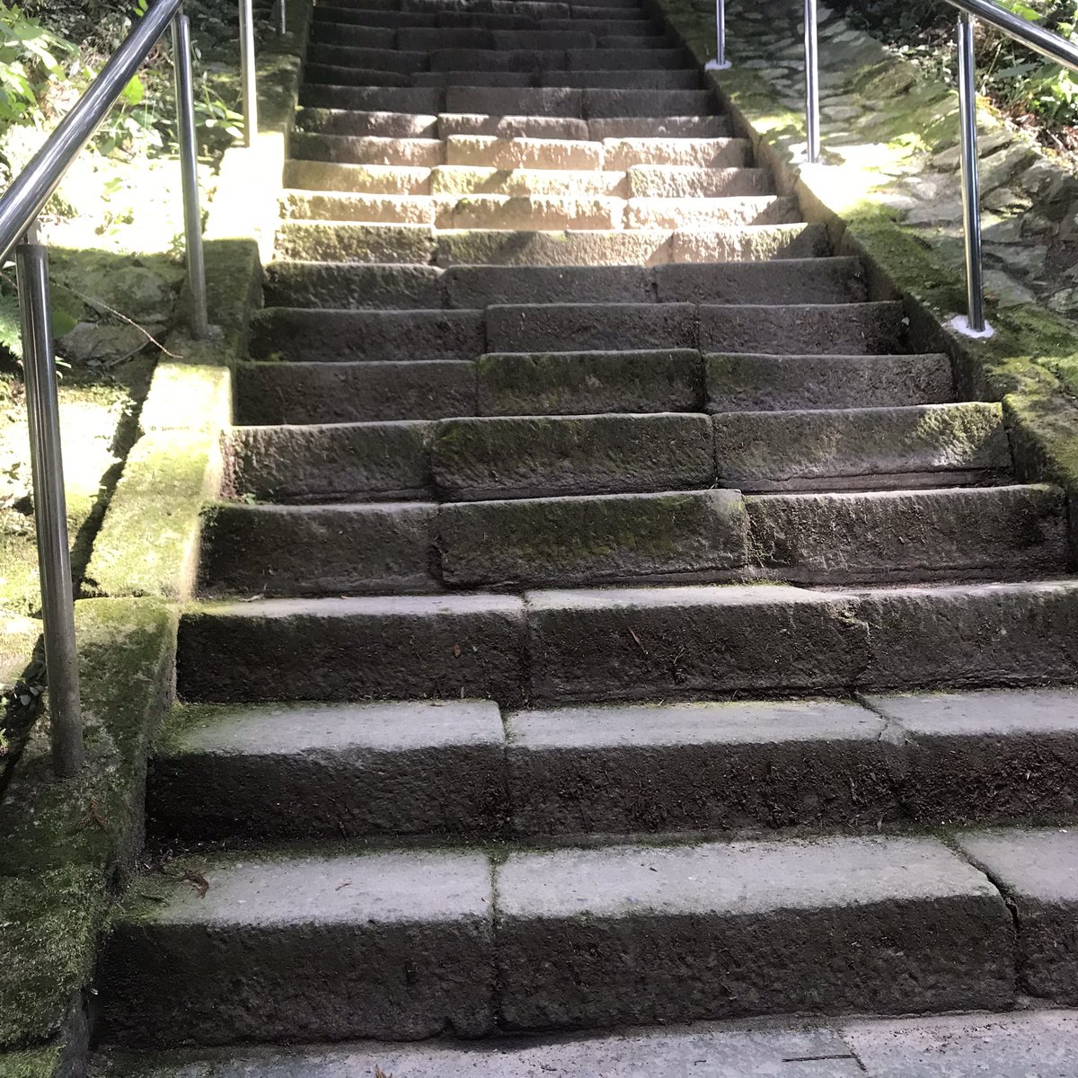 フォロワさん、関係者の皆様に、素敵な事が沢山起こりますように🙏

#フクロウ神社