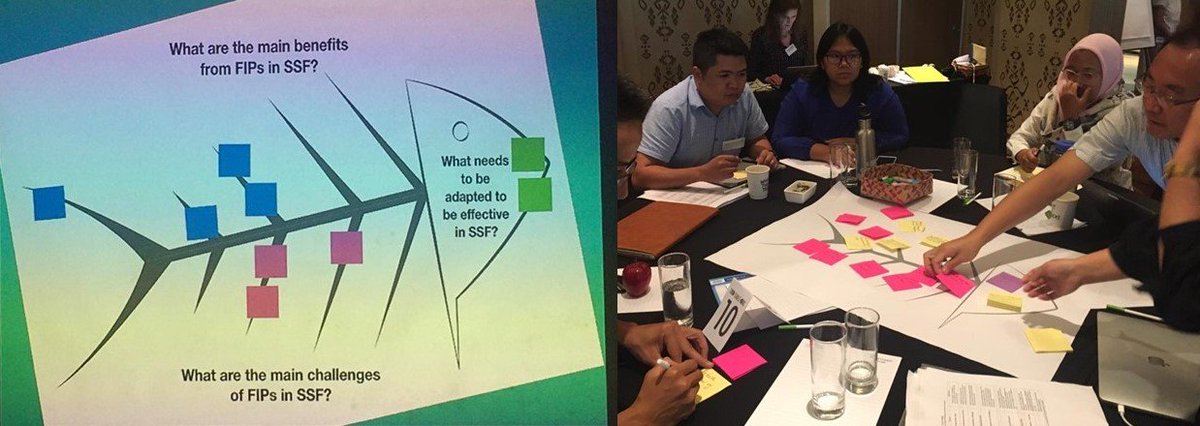 Fishing & Living tweet media