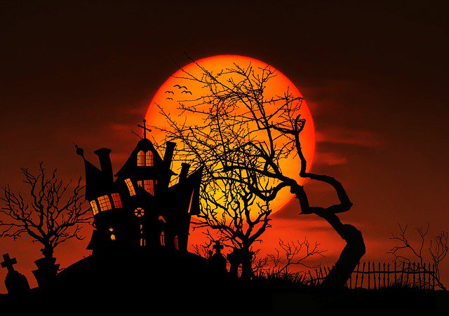 HelloLaFloride's tweet photo. Vous connaissez les Halloween Horror Nights d'Universal Studios ? Des soirées incontournables pour les fans d'horreur et d'Halloween !
#Halloween #Floride #UniversalStudios
https://t.co/YZOJNIUMpM https://t.co/DqXbWwmMrH
