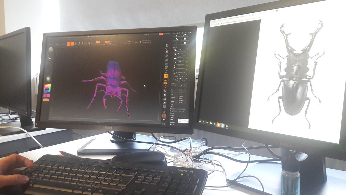 Games | VFX | 3D @ UCEN tweet media