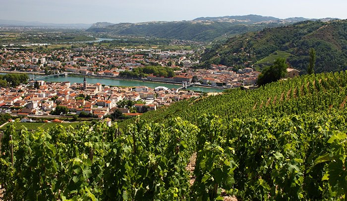 CCLDRecrutement's tweet photo. #MyCredi Vous recherchez une offre de RESPONSABLE COMMERCIAL FRAIS &amp; EXPORT H/F basée dans la jolie ville de @TainlHermitage (https://t.co/L0Eu9mNPmt) ? #recrutement #RH

Découvrez vite notre opportunité et un projet adapté à votre talent! https://t.co/w2OIDALtyv