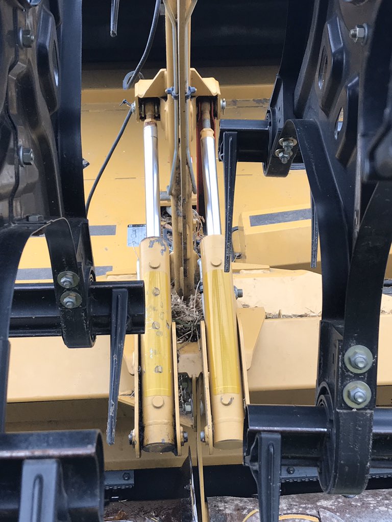 aerroTpalm's tweet photo. Today my #WingViewWednesday @a_den_hartog didn’t consists of a #flight in the world of #Pilotsoftwitter but replacing a cylinder on a @CLAAS_America #soybean #flexhead #AgTwitter #combine #harvest2019 #RealJob helping a farmer who is #Deployed right now get his crop out. #Farm https://t.co/Q2B9d45Md1