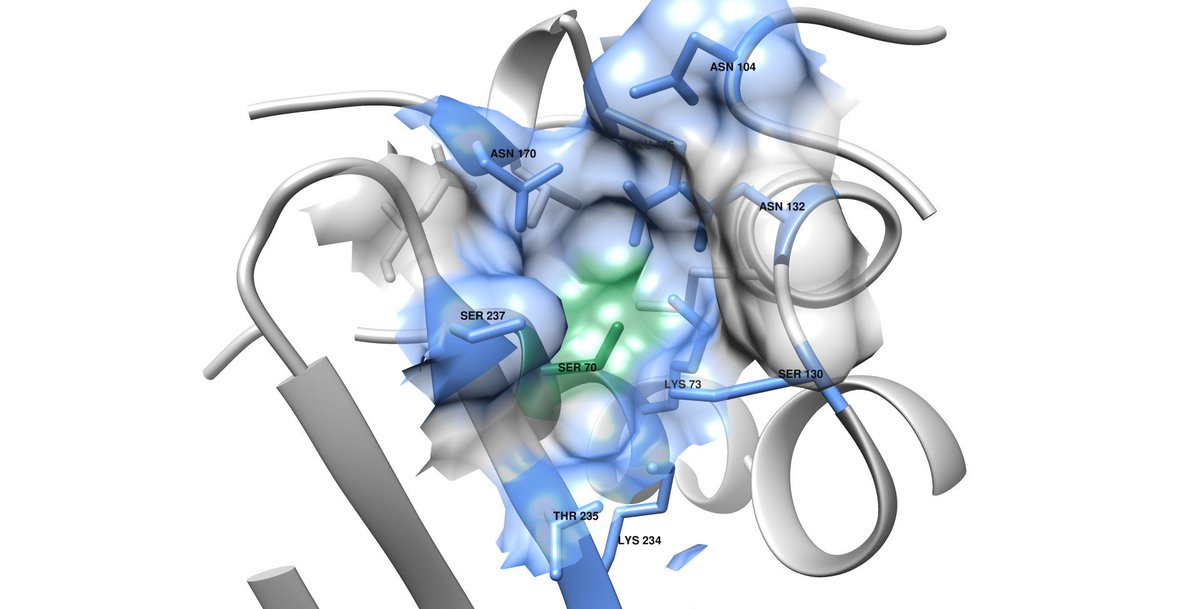 pa95_karlsson's tweet photo. Two summers of #research school (#SoFoSko) at @UU_University is now completed and presented. This is my second project contribution to the cause of #plasmid borne #multiresistance! https://t.co/NKg7hm5P4t
