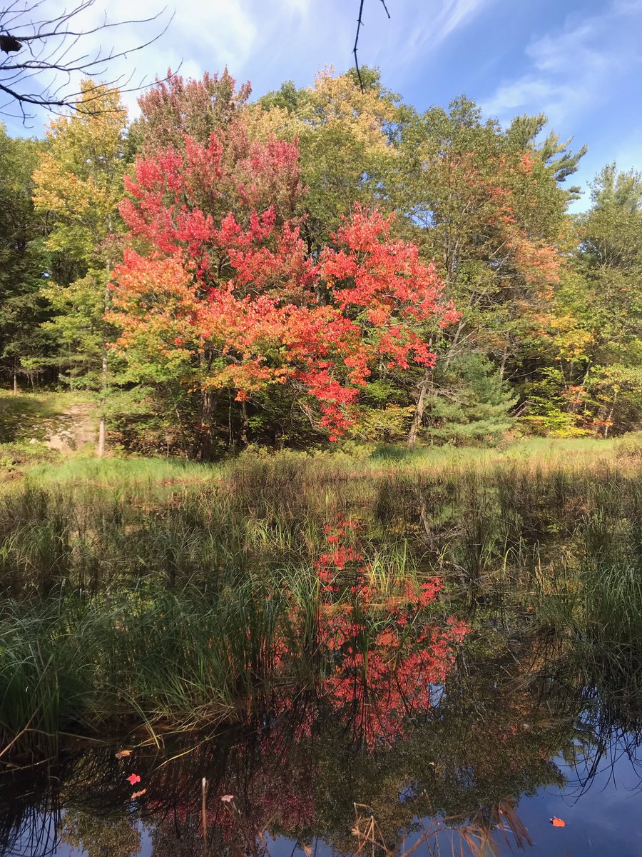 FOMP14's tweet photo. Photo Contest 2019 closes soon!! Not too late to enter our photo contest!

You have till midnight on this Friday, October 18th to get your photos in.

Amazing prizes to be won, including a beautiful kayak, and a waterproof camera!

Click here to enter:

https://t.co/yigj0FfIZg https://t.co/s8jtaMm1RE