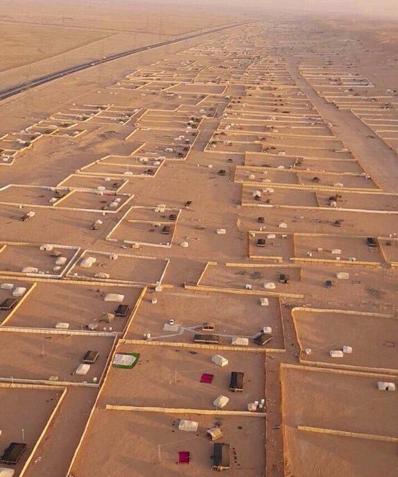 TREE_2030's tweet image. البعض يجهز مخيم بمبالغ كبيره ويبخل عن زراعة ٥ شتلات برية بمبلغ زهيده ،،، مع ان المخيم سيزول وستبقي الأشجار عشرات السنين أجرها له.🌳

- لو كل صاحب مخيم  قام بزراعة ٥ شتلات كيف سوف تصبح هذي المخيمات #حملة_تشجير_المخيمات