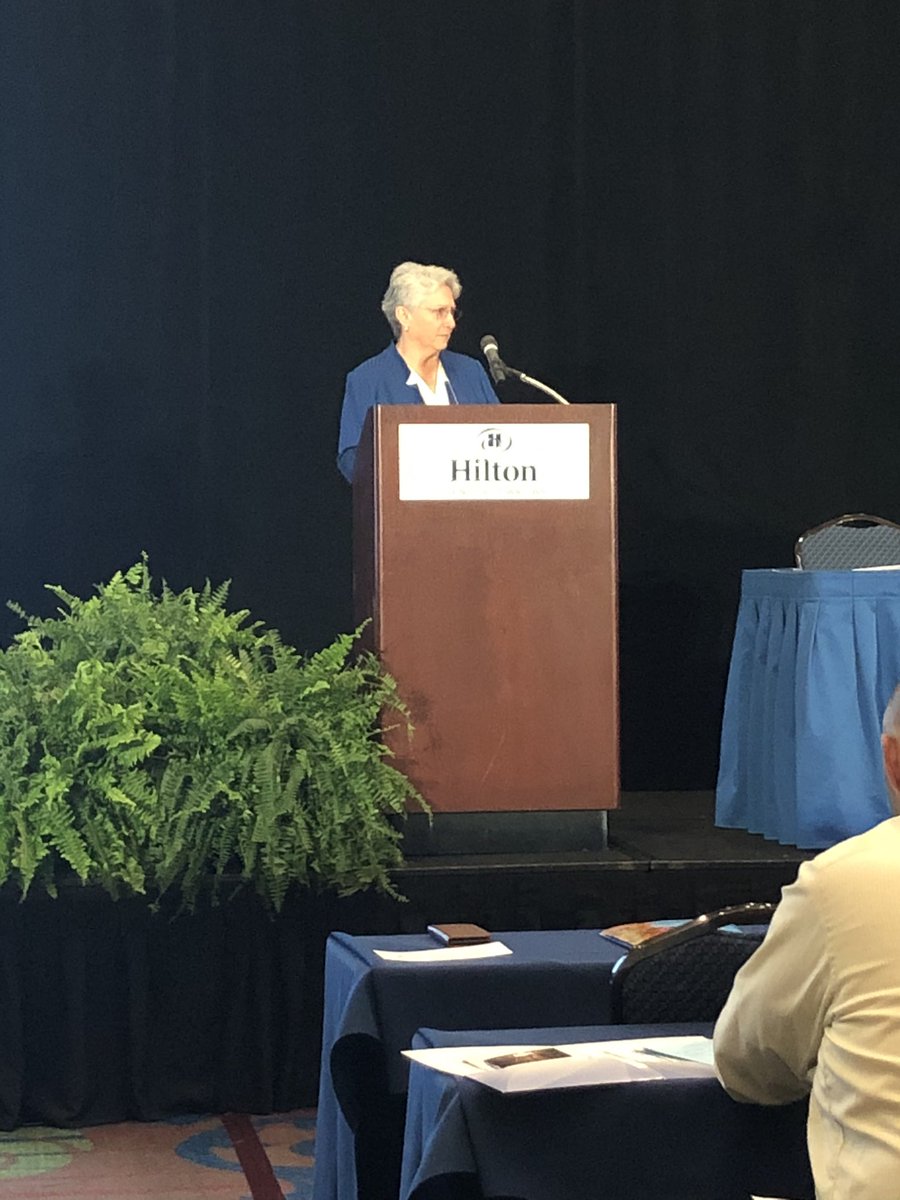 EnMinLaw's tweet photo. Karen Greenwell, @WyattLLP partner, discusses e-filing, electronic signatures, and online notaries. #KMLC19 https://t.co/yweuw3nW7b