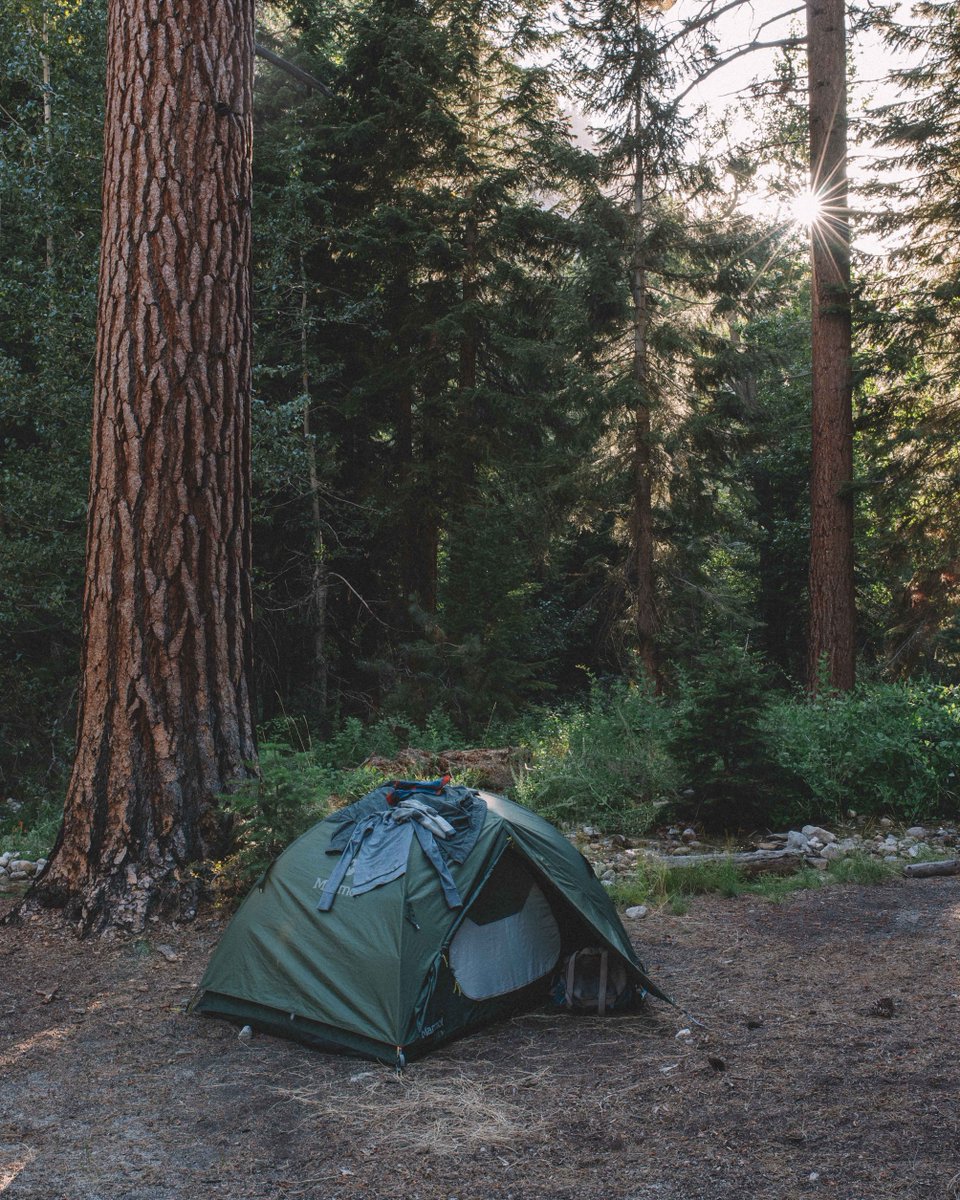 mattdsampson's tweet photo. Campsite on our last night in Kings Canyon—such a peaceful spot at the crossing of Charolette & Bubbs Creeks / Day 4 on the #raelakesloop.
#kingscanyonnationalpark #travelgram #capturingcalifornia #everydaycalifornia #livefolk #huckberry #simplyadventure #campvibes https://t.co/jgZWSqStoi