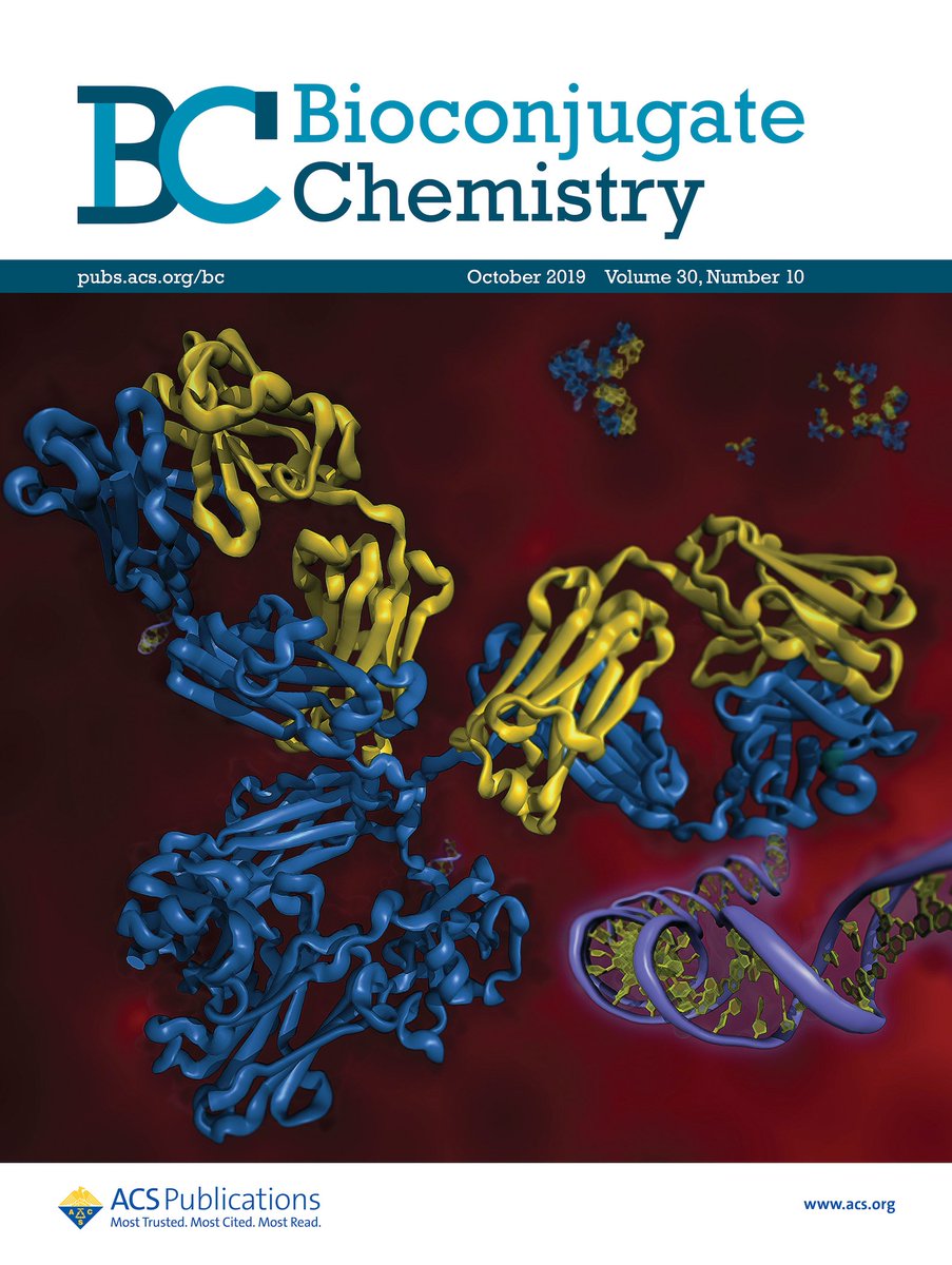 BioconjChem's tweet photo. The October 16th issue of BC is now available. https://t.co/uiXmB5qo7m Cover highlights review by Wagner Group @BFC_UMR7199 @BfcDovgan @sashakoniev https://t.co/zG5e5E2QGD https://t.co/WT793y5leu