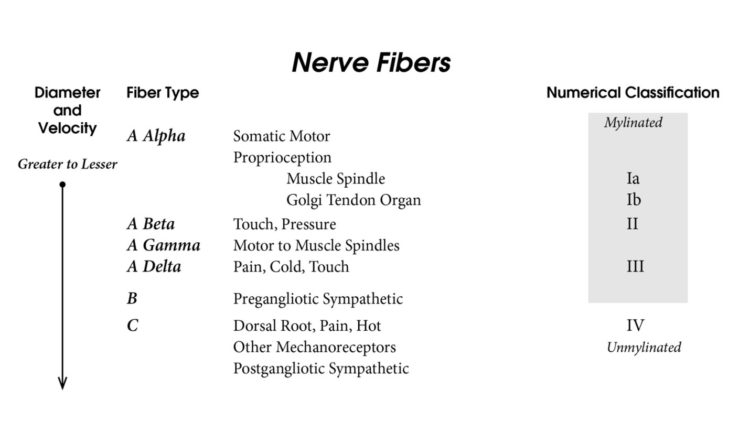 Laree Draper tweet media