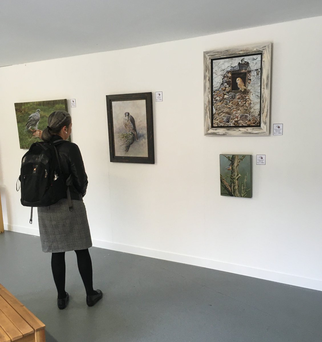 YorksDCP's tweet image. Quick visit to the Turtle Dove exhibition at Dalby Forest to see #DoodleADove artwork from various celebrities, which have been auctioned off in aid of conservation of this endangered species! @northyorkmoors @ForestryComm @tim_burkinshaw @BillOddie @ChrisGPackham #NorthYorkshire