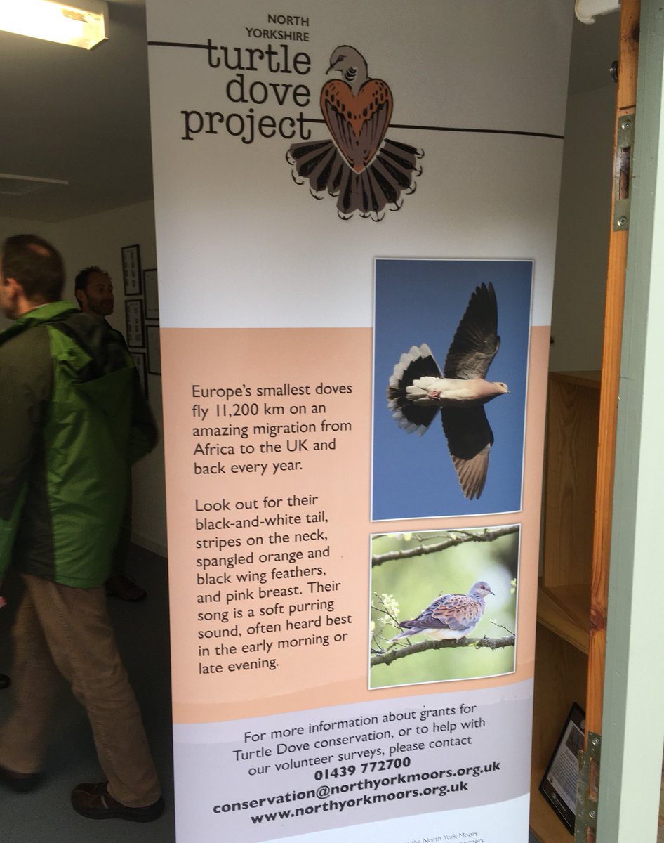 YorksDCP's tweet image. Quick visit to the Turtle Dove exhibition at Dalby Forest to see #DoodleADove artwork from various celebrities, which have been auctioned off in aid of conservation of this endangered species! @northyorkmoors @ForestryComm @tim_burkinshaw @BillOddie @ChrisGPackham #NorthYorkshire